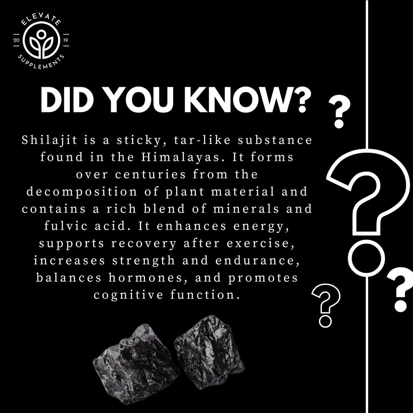 Shilajit Gummies | Pack of 10