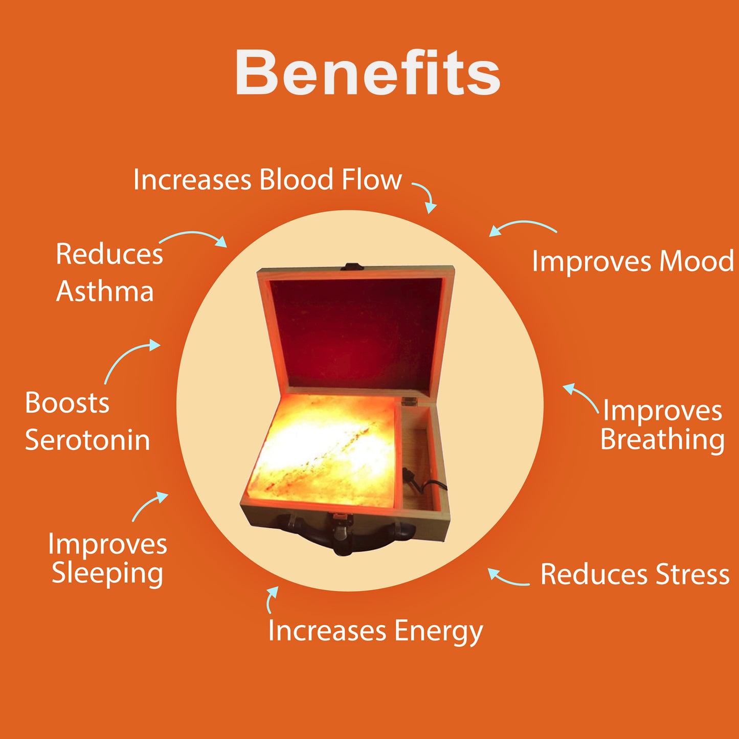 Himalayan Salt Detoxify Lamp with Box | Signature Series | Medium (8 x 8 x 2 Inch)