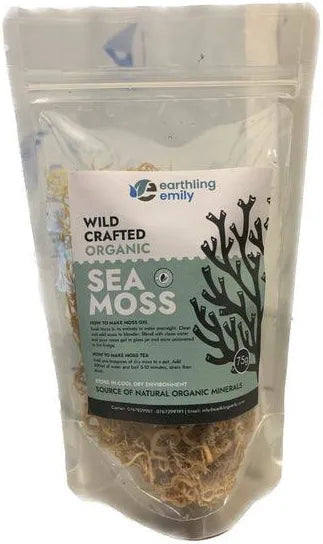 Wild Crafted Sea Moss – Nutrient-Rich Superfood from the Ocean