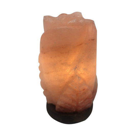 Himalayan Rose Flower Salt Lamp